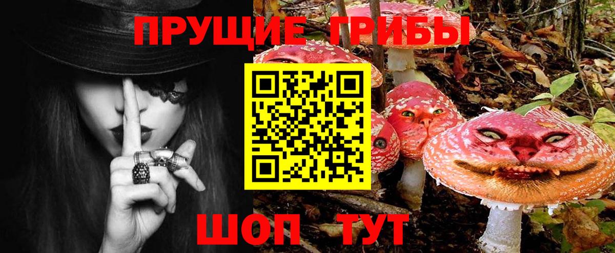 Псилоцибиновые грибы GOLDEN TEACHER  Псилоцибиновые грибы MAGIC MUSHROOMS  Чапаевск  Вход с VPN 